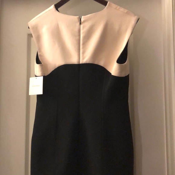 Brand New Never worn before Ellen Tracy Dress. - Picture 5 of 8